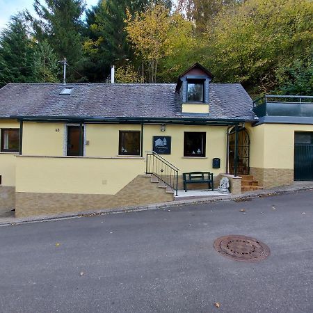 Ferienhaus Meijer Villa Briedel Exterior foto