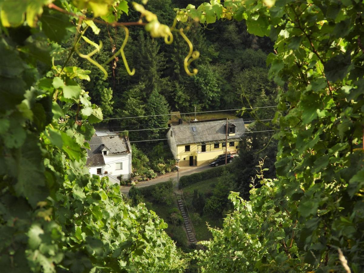 Ferienhaus Meijer Villa Briedel Exterior foto
