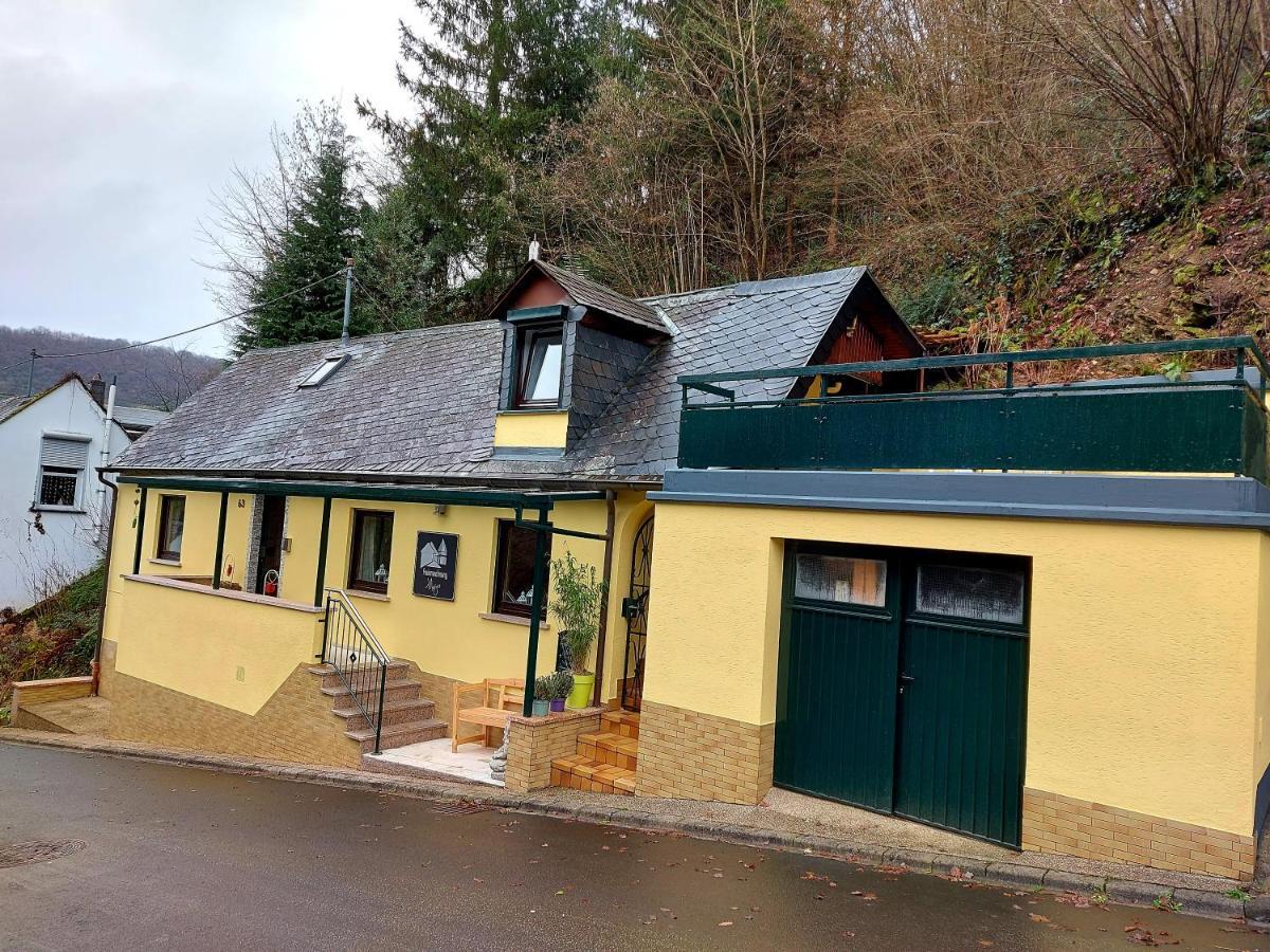 Ferienhaus Meijer Villa Briedel Exterior foto